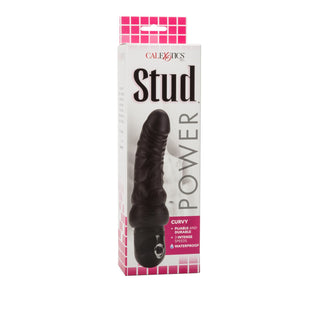 Power Stud Curvy