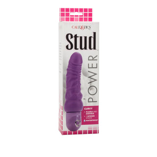 Power Stud Curvy