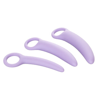 Dr. Laura Berman Alena Set of 3 Silicone Dilators